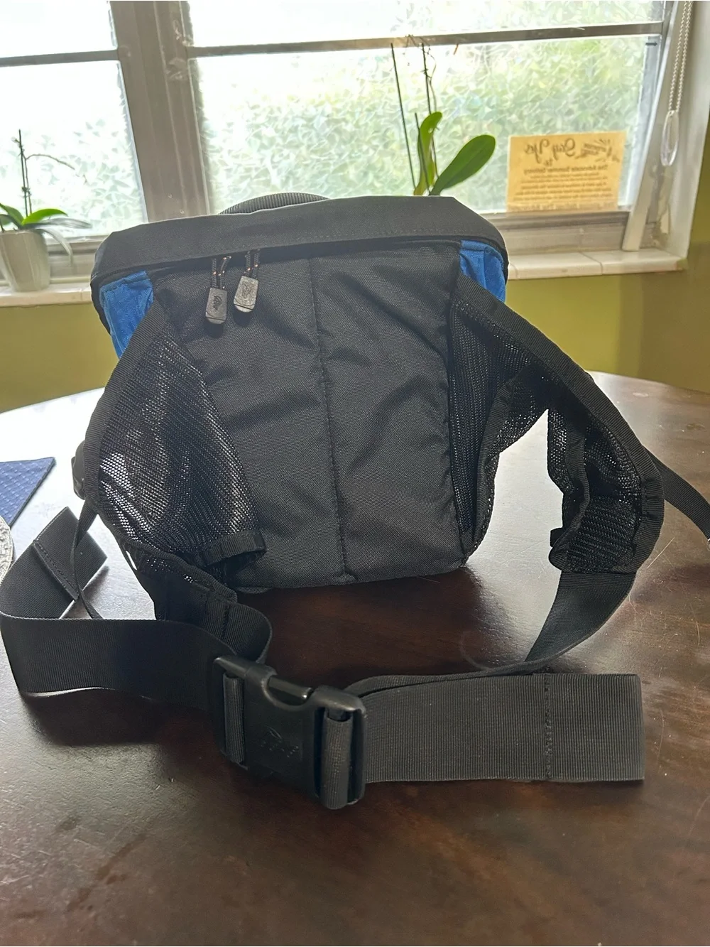 Alpine Kids Swim Bottle Holder Pack - Blue and Black